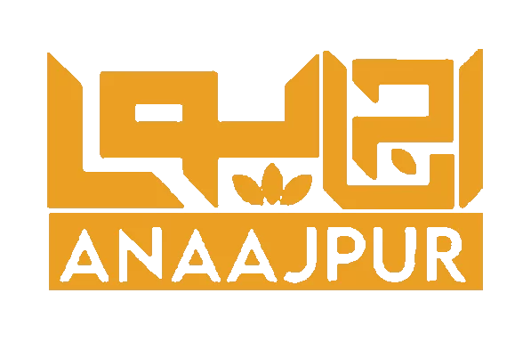 Anaajpur project by bsns consulting - logo