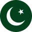 Pakistan Flag for BSNS Consulting