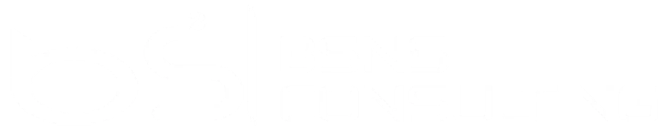 Bsns Consulting Mobile Header Logo