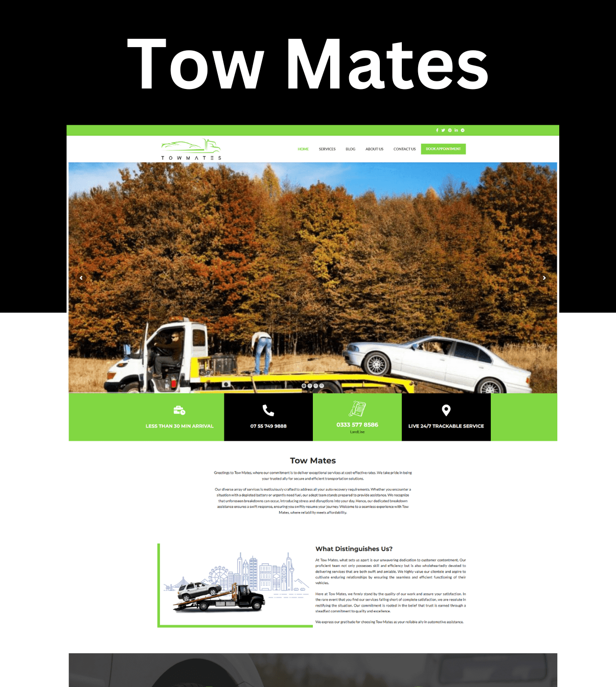 Tow Mates - BSNS Portfolio - web design